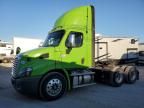 2019 Freightliner Cascadia 113