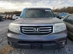 2014 Honda Pilot EXL