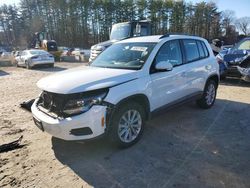 Volkswagen Tiguan Vehiculos salvage en venta: 2017 Volkswagen Tiguan S