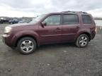 2014 Honda Pilot EXL