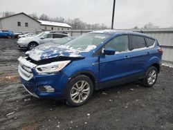 Salvage cars for sale at York Haven, PA auction: 2019 Ford Escape SE