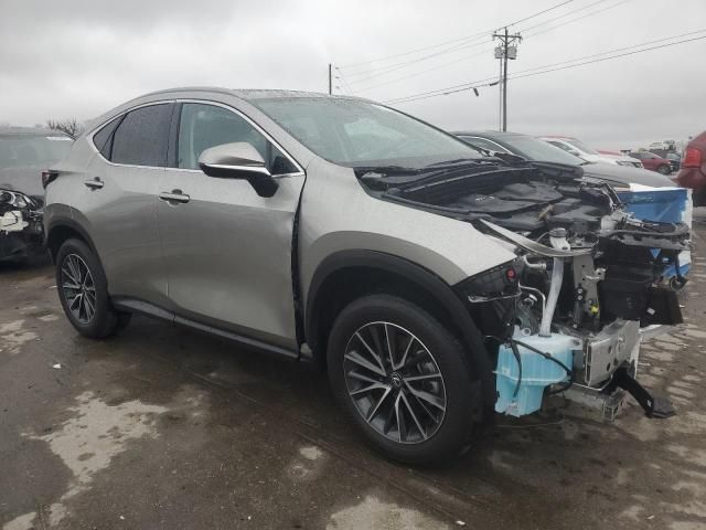 2025 Lexus NX 250 Premium