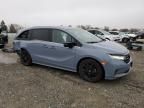 2023 Honda Odyssey SPORT-L