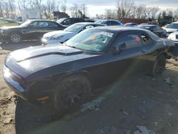 Vehiculos salvage en venta de Copart Baltimore, MD: 2012 Dodge Challenger SXT