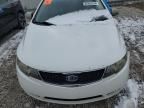 2010 KIA Forte EX