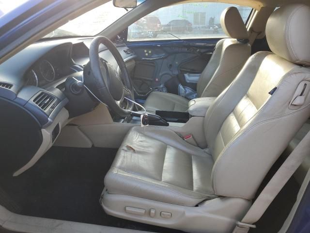 2009 Honda Accord EXL