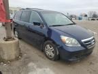 2005 Honda Odyssey EX