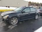 2008 Nissan Maxima SE