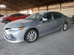 Salvage cars for sale from Copart Phoenix, AZ: 2023 Toyota Camry LE