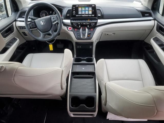 2025 Honda Odyssey EXL