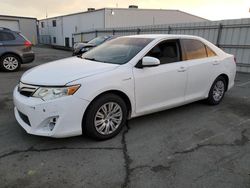 Toyota Camry Hybrid salvage cars for sale: 2012 Toyota Camry Hybrid