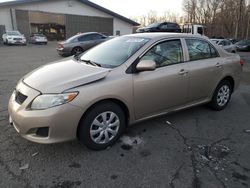 Toyota Corolla Base Vehiculos salvage en venta: 2010 Toyota Corolla Base