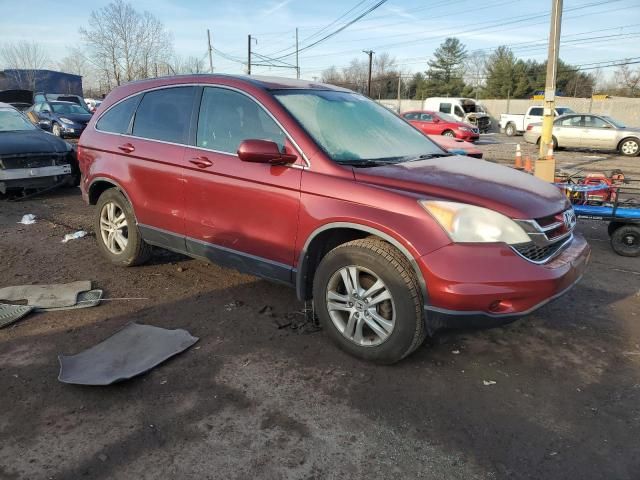 2010 Honda CR-V EXL