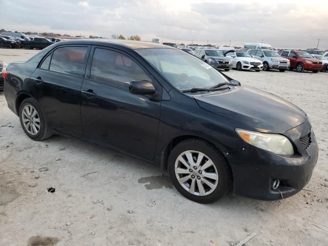 2010 Toyota Corolla Base