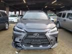 2024 Lexus NX 250 Base