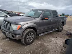 Salvage trucks for sale at Magna, UT auction: 2010 Ford F150 Supercrew