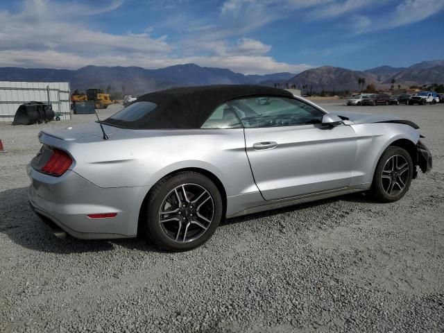 2019 Ford Mustang