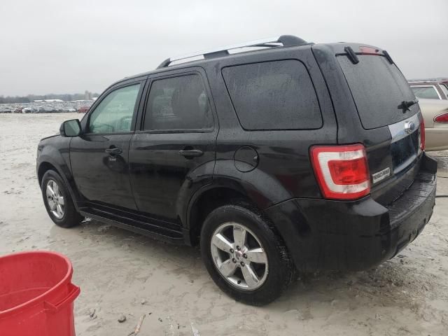 2009 Ford Escape Limited