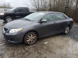 Salvage cars for sale from Copart Arlington, WA: 2009 Toyota Corolla Base