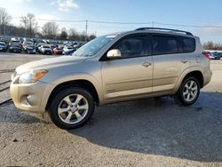 Salvage cars for sale at Lawrenceburg, KY auction: 2009 Toyota Rav4 Limited