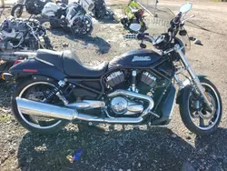 Salvage motorcycles for sale at Houston, TX auction: 2008 Harley-Davidson Vrscd