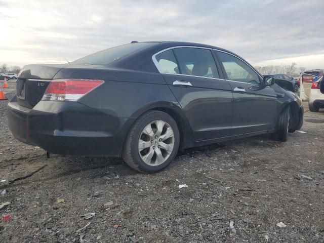 2009 Honda Accord EXL