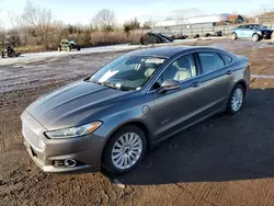 Ford Vehiculos salvage en venta: 2014 Ford Fusion Titanium Phev