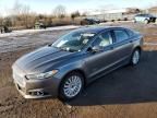 2014 Ford Fusion Titanium Phev