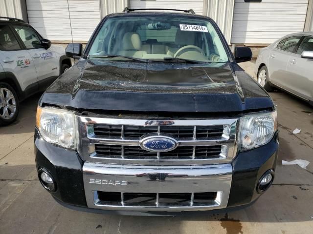 2012 Ford Escape Limited