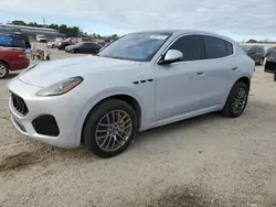 2023 Maserati Grecale GT en venta en Harleyville, SC