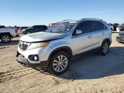 Salvage cars for sale at Amarillo, TX auction: 2011 KIA Sorento EX