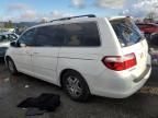 2007 Honda Odyssey EXL