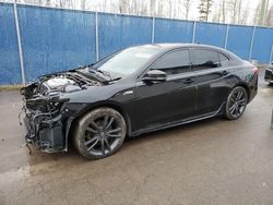 Salvage cars for sale at Moncton, NB auction: 2018 Acura TLX TECH+A