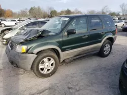 Salvage cars for sale at Madisonville, TN auction: 2001 Ford Escape XLT