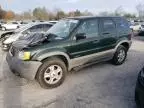 2001 Ford Escape XLT