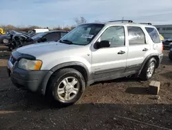 Salvage cars for sale at Chicago Heights, IL auction: 2002 Ford Escape XLT