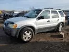 2002 Ford Escape XLT