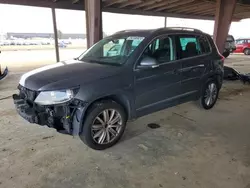 Volkswagen Vehiculos salvage en venta: 2013 Volkswagen Tiguan S