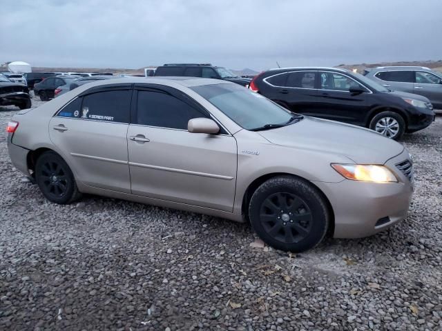 2009 Toyota Camry Hybrid