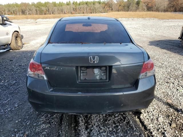 2010 Honda Accord EXL