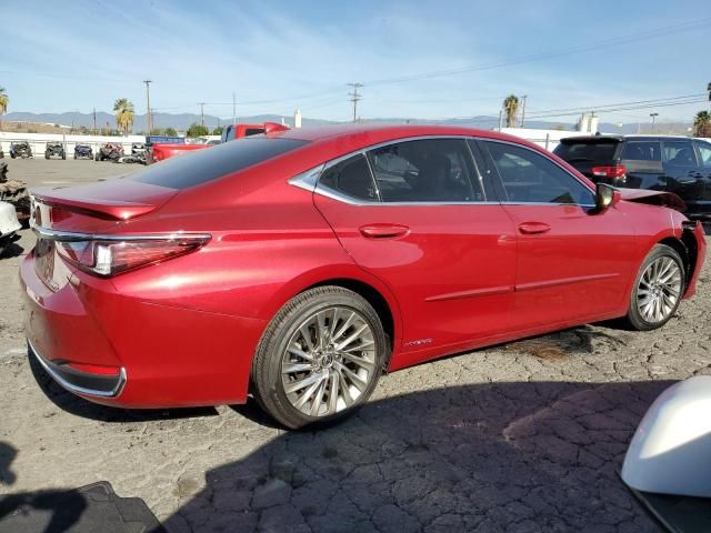 2019 Lexus ES 300H