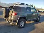 2010 Toyota FJ Cruiser