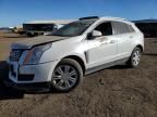 2013 Cadillac SRX Luxury Collection