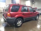 2004 Ford Escape XLS