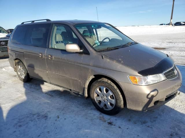 2004 Honda Odyssey EXL