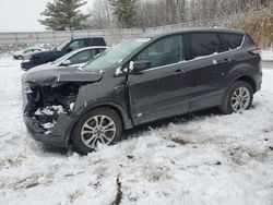 Salvage cars for sale from Copart Davison, MI: 2017 Ford Escape SE