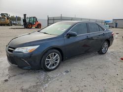 Salvage cars for sale at Arcadia, FL auction: 2015 Toyota Camry LE