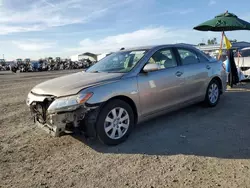 Salvage cars for sale at San Diego, CA auction: 2007 Toyota Camry LE