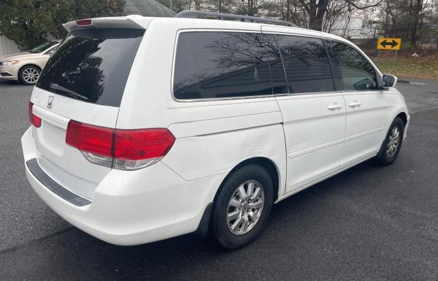 2010 Honda Odyssey EXL