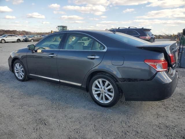 2010 Lexus ES 350